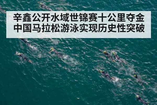 辛鑫公开水域世锦赛十公里夺金 中国马拉松游泳实现历史性突破